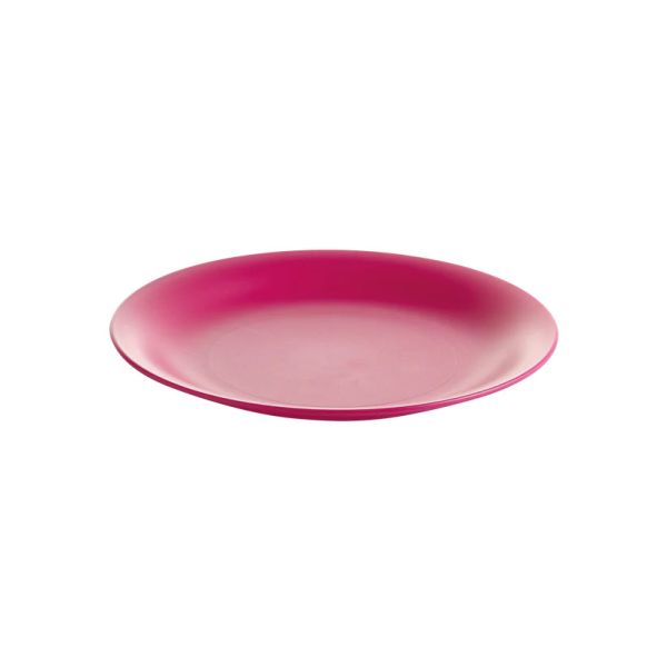 Flat plate 21 style fuschia 6130